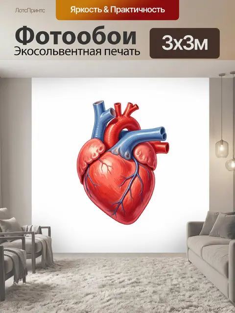 Фотообои Сердце, минимализм, реалистичный стиль, детализированное рисование,яркие цвета
