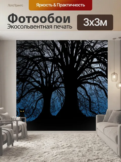 Фотообои Ночь