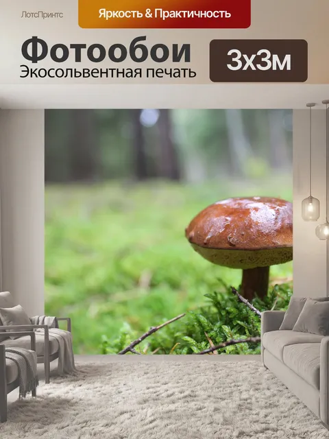 Фотообои Гриб