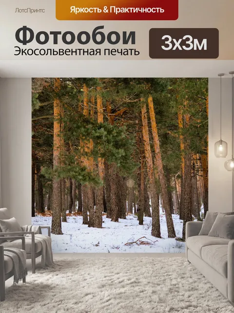 Фотообои Снег