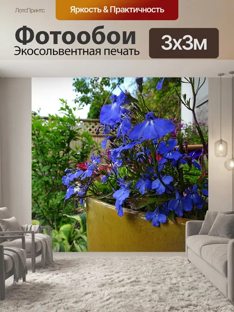 Фотообои Голубые цветы