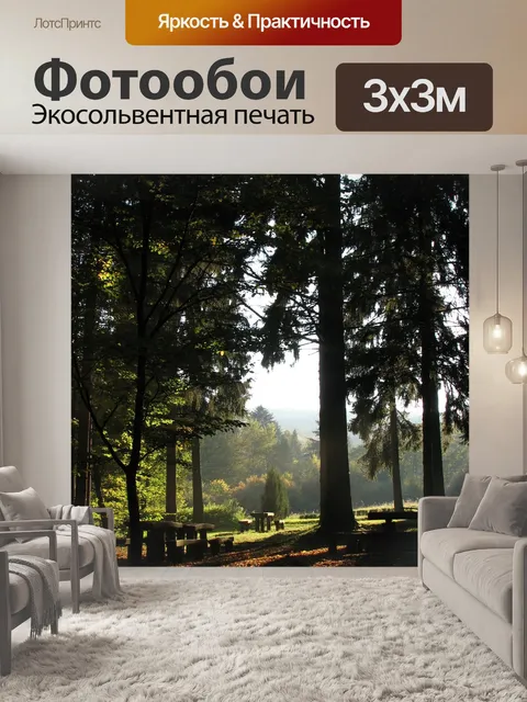 Фотообои Лес