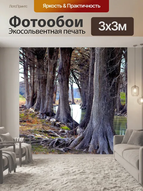 Фотообои Кипарисы