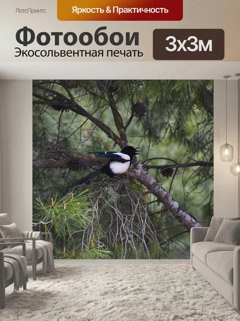 Фотообои Сорока