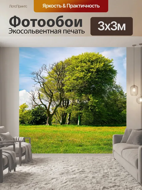 Фотообои Деревья