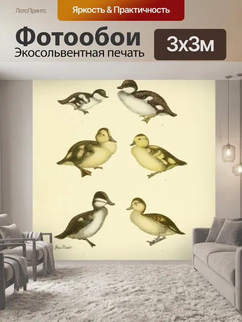 Фотообои Птицы птенцы арт старые