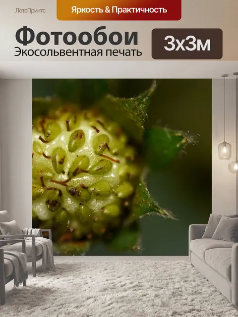 Фотообои Природа