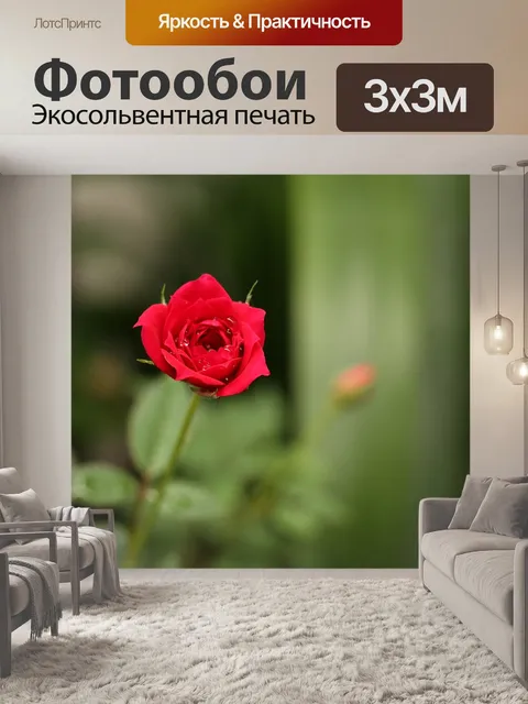 Фотообои Красные дикие розы