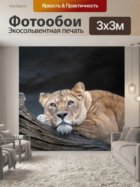 Фотообои Лев
