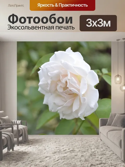 Фотообои Цветы