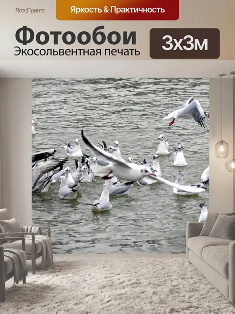 Фотообои Серебряная чайка
