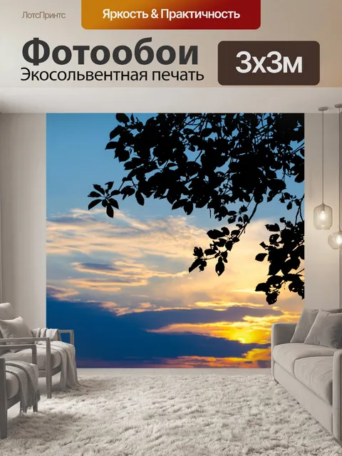 Фотообои Силуэт листья и закат