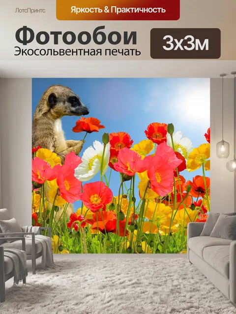 Фотообои Мак