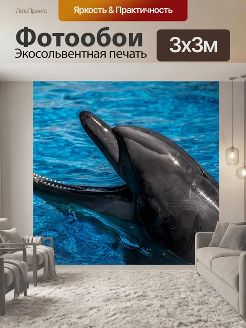 Фотообои Дельфин