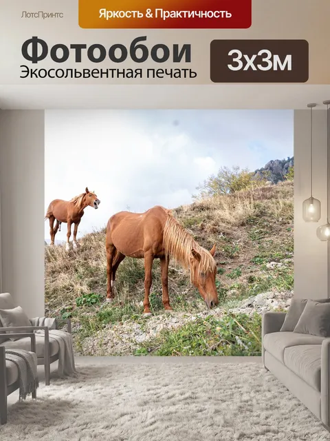 Фотообои Лошадь