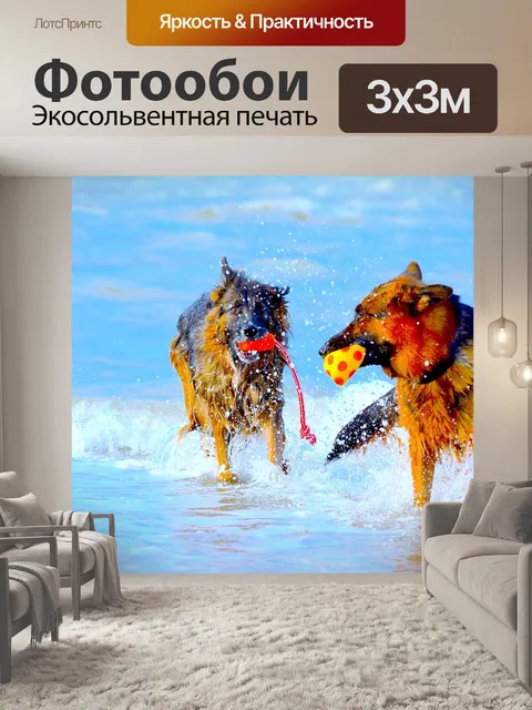 Фотообои Немецкая овчарка