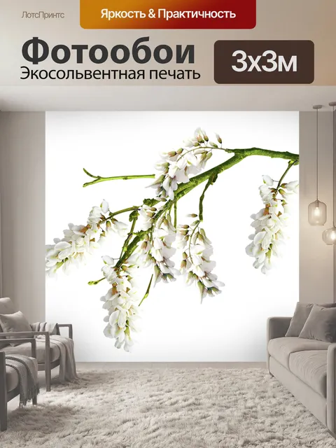Фотообои Цветы
