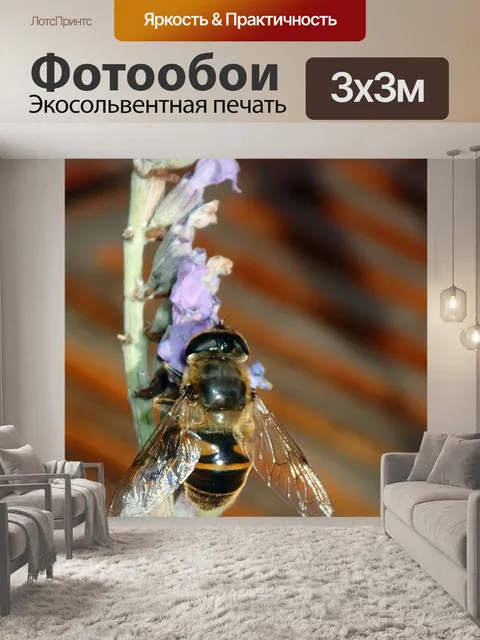 Фотообои Пчела