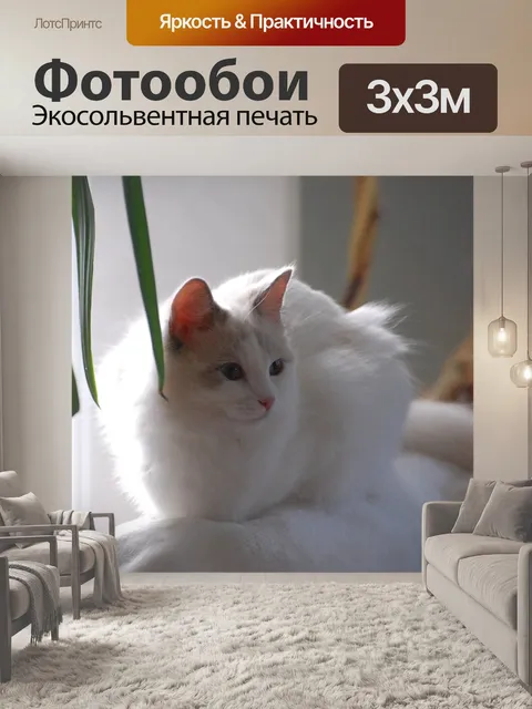 Фотообои Кошка