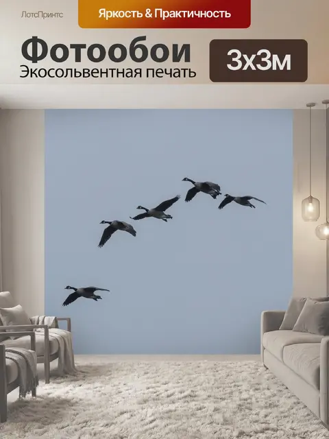 Фотообои Гуси