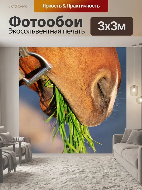 Фотообои Лошадь морда