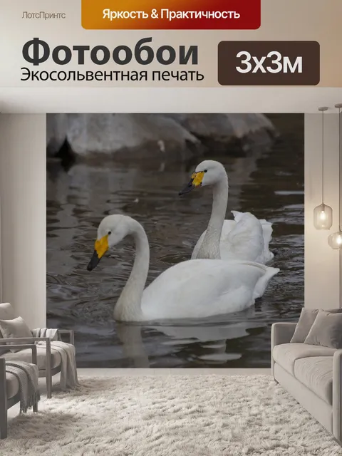 Фотообои Птицы