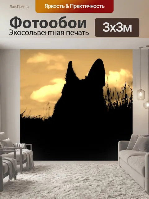 Фотообои Собака
