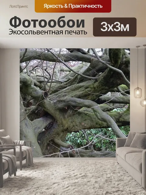 Фотообои Запутанные и скрученные Ветви деревьев