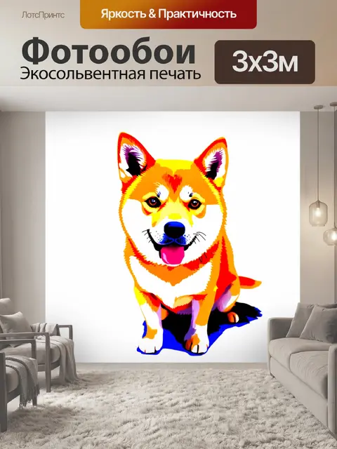 Фотообои изображение собаки сиба-ину на белом фоне