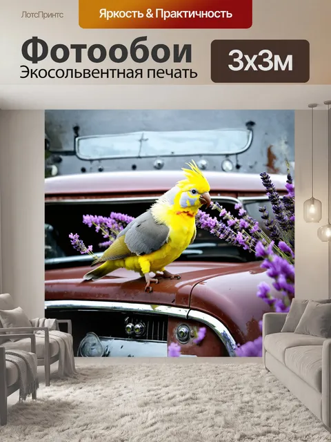 Фотообои корелла, с ее яркими желтыми и серыми перьями, сидит на капоте старинного автомобиля, обрамленного…