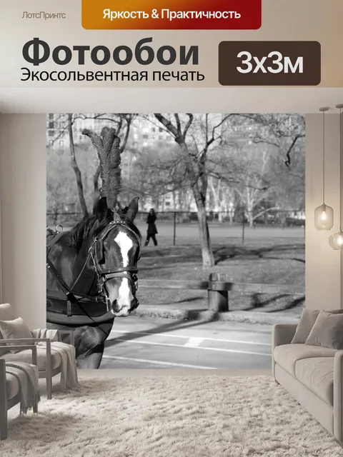 Фотообои Лошадь