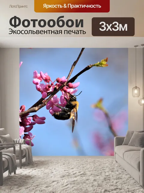 Фотообои Шмель на цветах Redbud