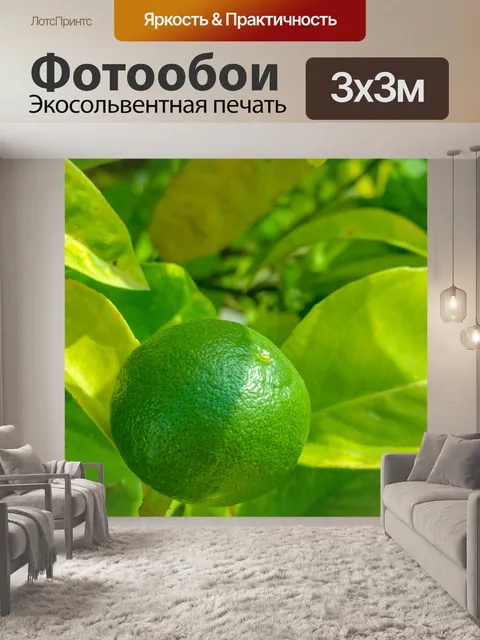 Фотообои выращивание извести