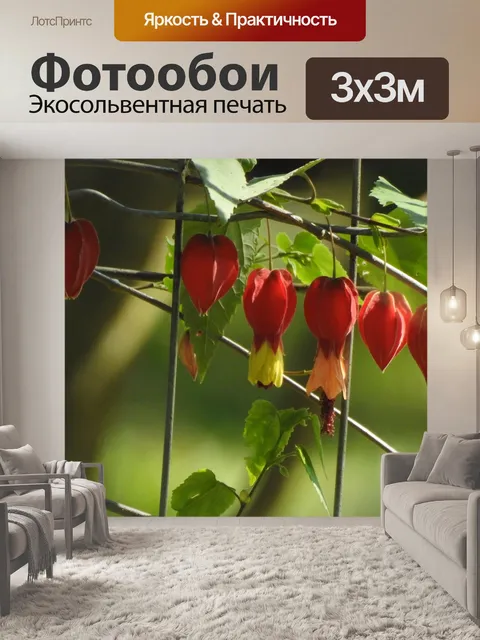 Фотообои Фонарь цветы