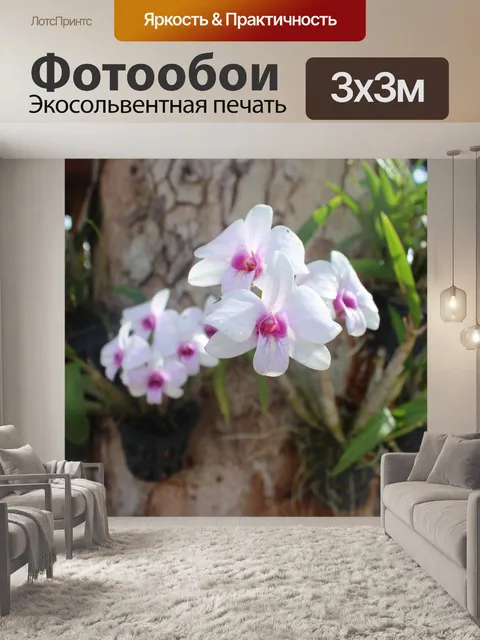 Фотообои Цветок