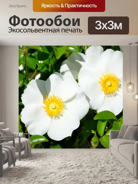 Фотообои Роза чероки
