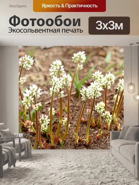 Фотообои Цветы