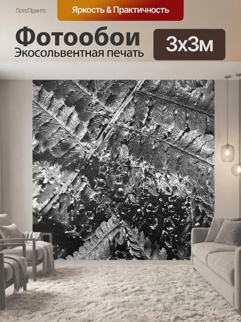 Фотообои Папоротник