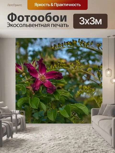 Фотообои Цветок