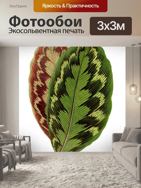 Фотообои Листва лист растение прозрачный