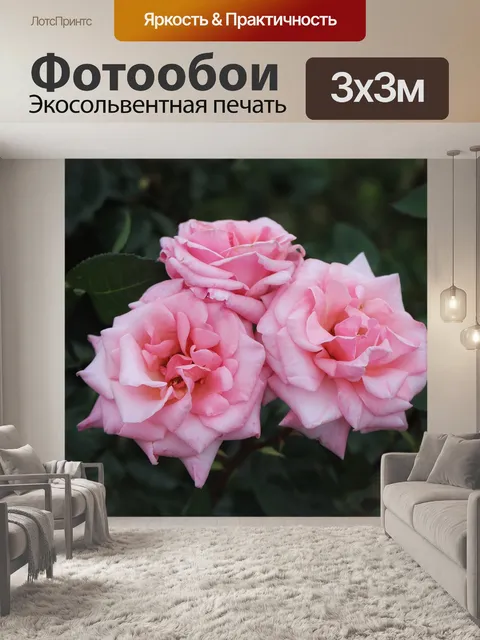 Фотообои Роза