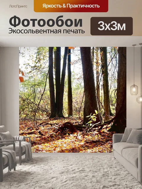 Фотообои Свет