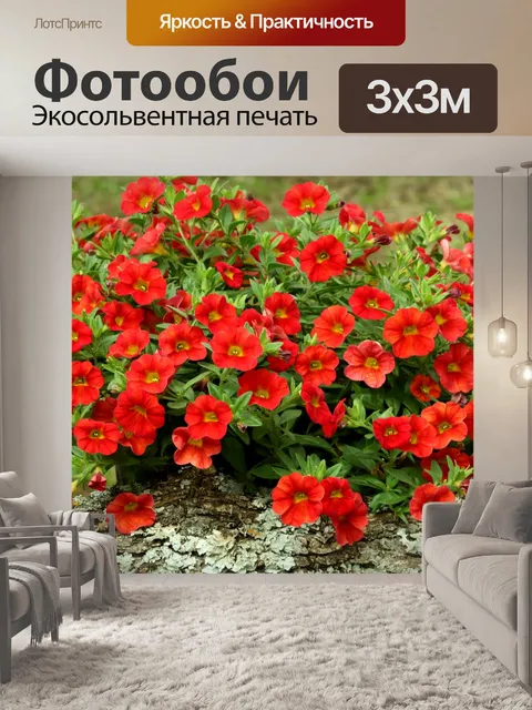 Фотообои Красные мини-петунии цветы