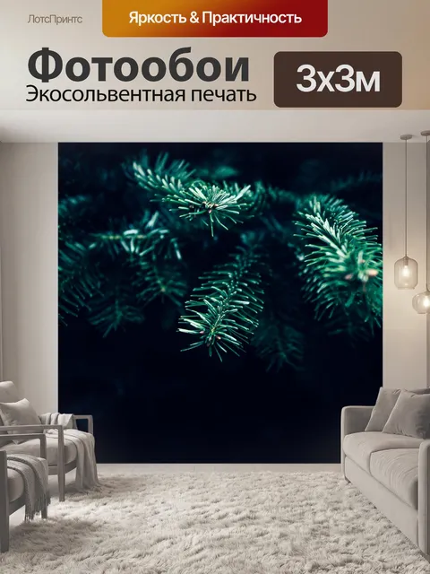 Фотообои Темный