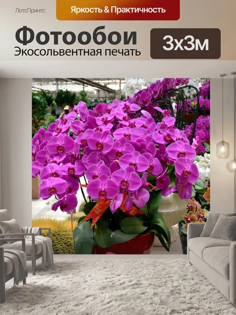 Фотообои Букет из орхидей