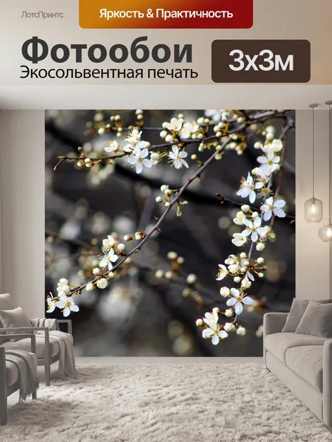 Фотообои Природа