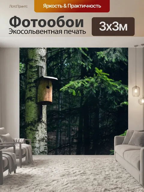 Фотообои Лес