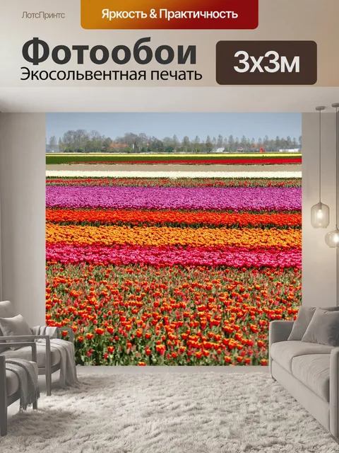 Фотообои Тюльпаны