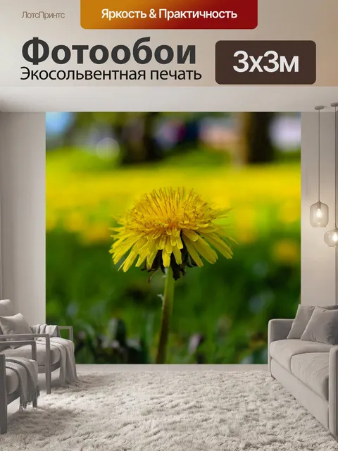 Фотообои Одуванчик
