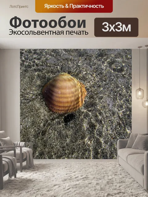 Фотообои Оболочка